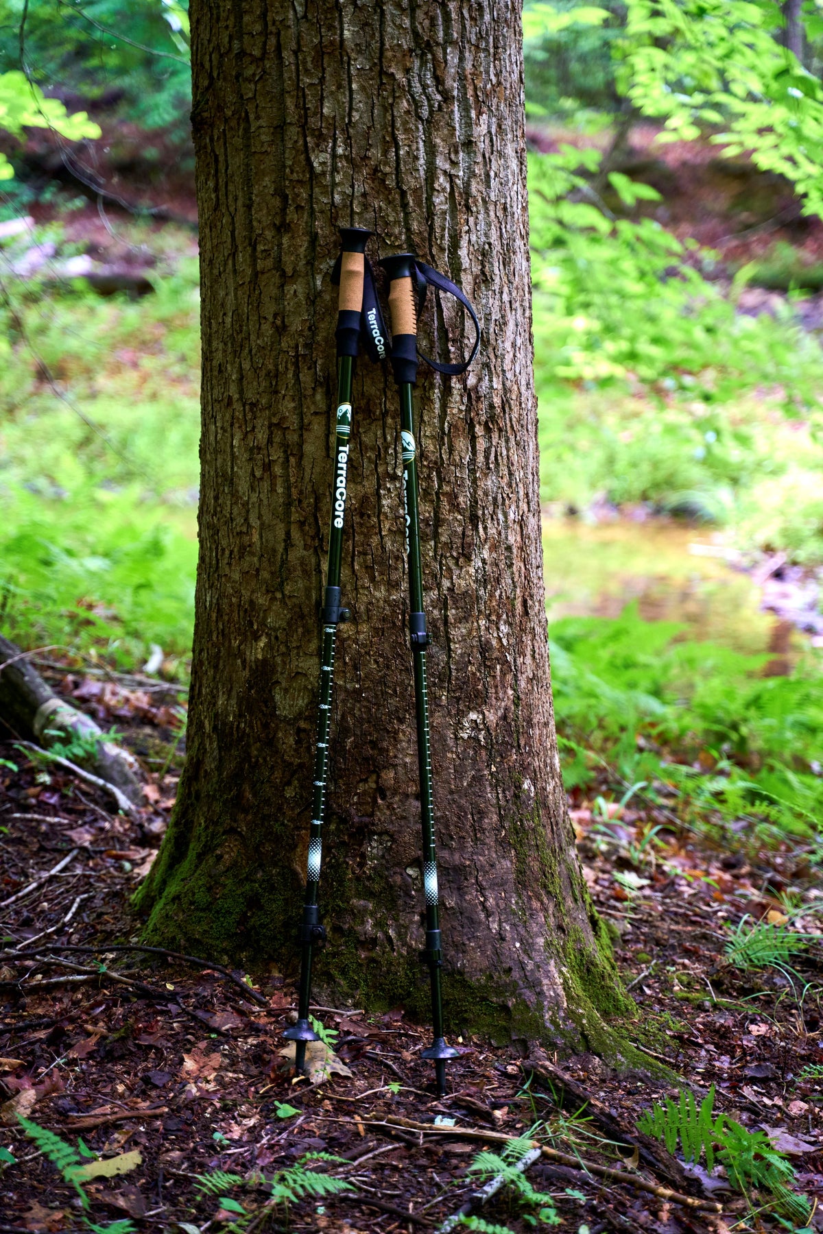TerraCore Trekking Poles – Lightweight, Adjustable - Order Now!